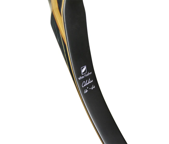 White Feather 62" Field Bow Caladrius - Image 3